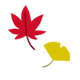 秋の行事